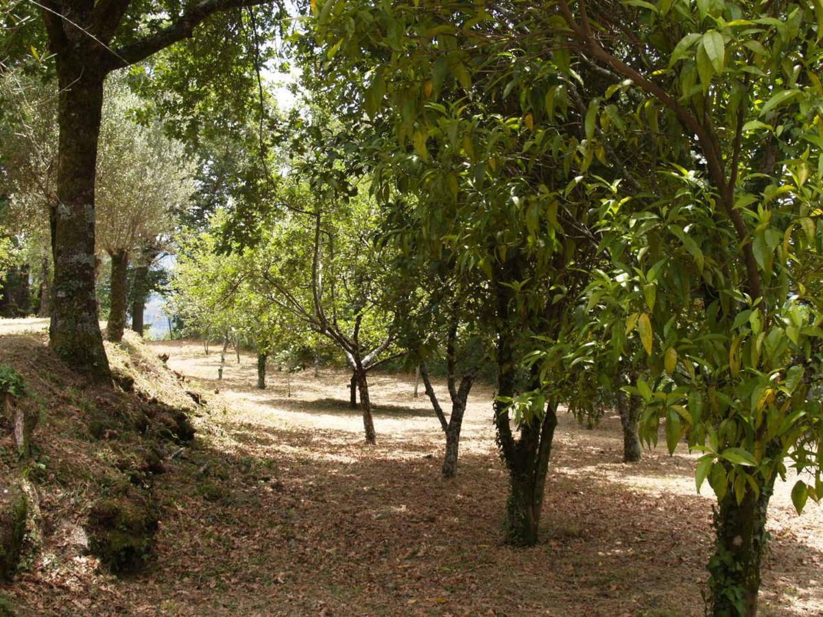 Quinta Geres Hotel Terras de Bouro Bagian luar foto